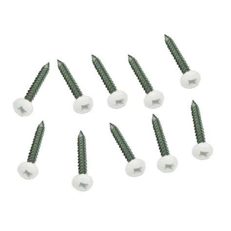 white stainless steel wood screws